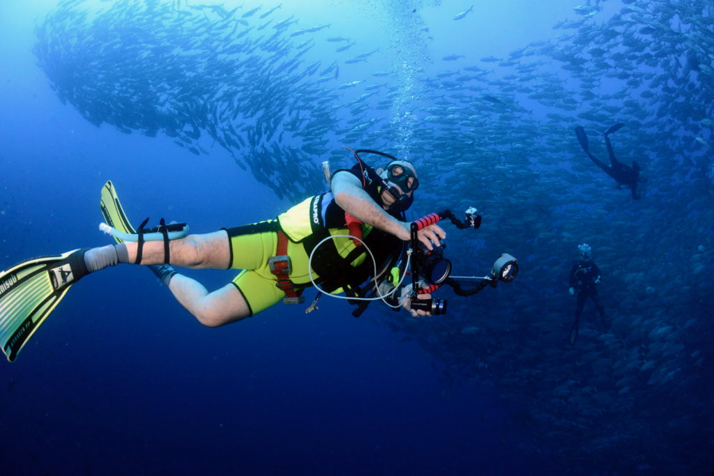 Plongeur photographe observant un banc de poissons sous l’eau en gardant une distance respectueuse